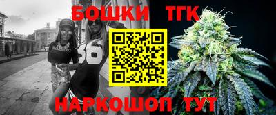 стаф Сланцы