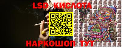 стаф Сланцы