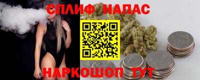 крисы Ставрополь