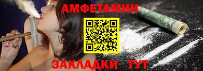 стаф Сланцы