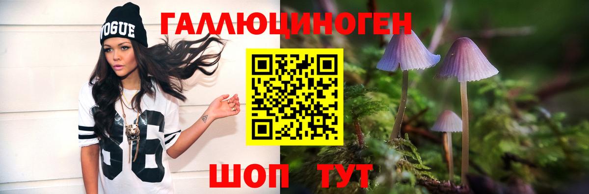 Галлюциногенные грибы Psilocybine cubensis Полысаево
